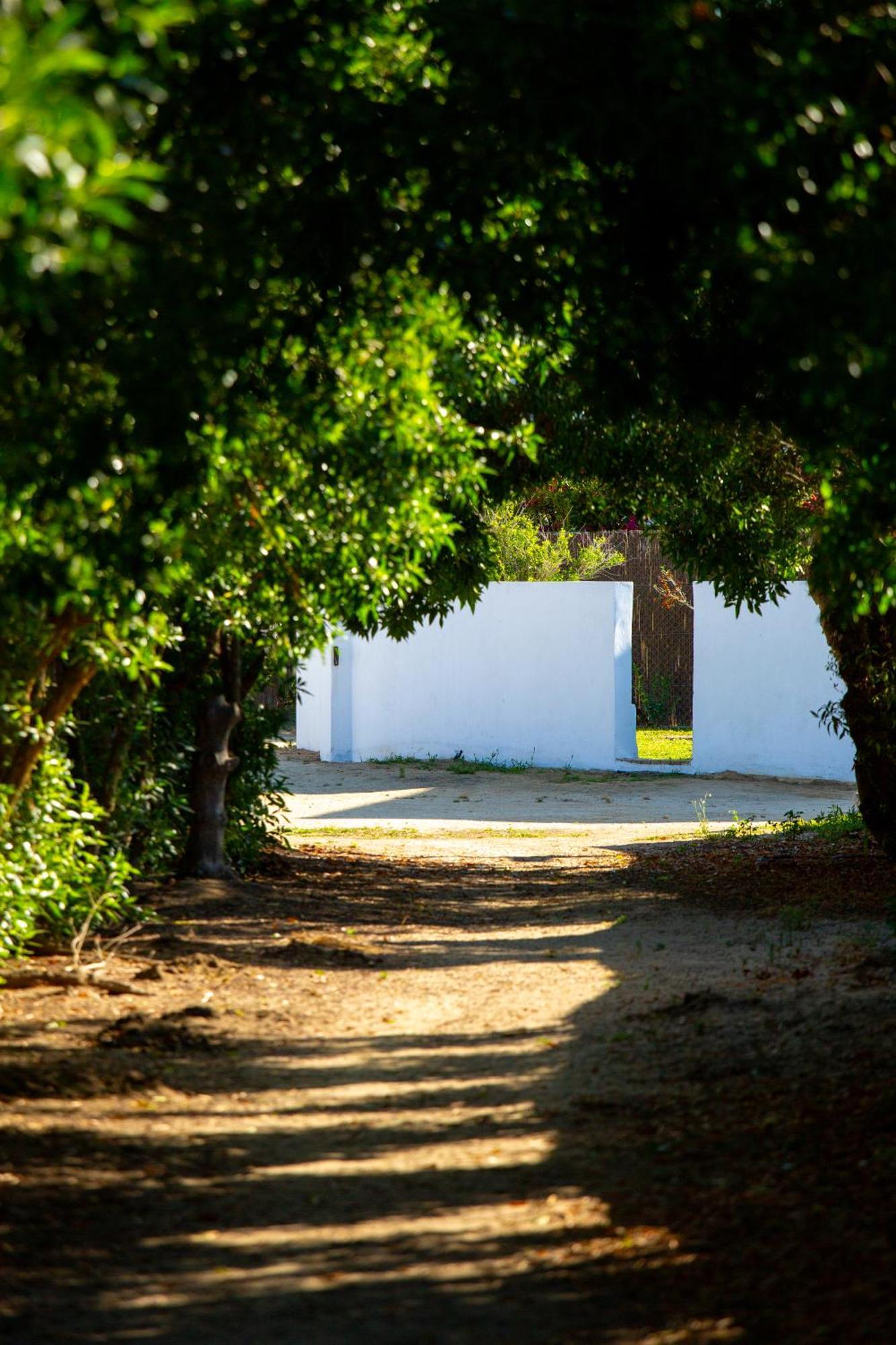 Casara Tres - 2 Dormitorios - Jardin Y Acceso Privado A La Playa Саора Экстерьер фото
